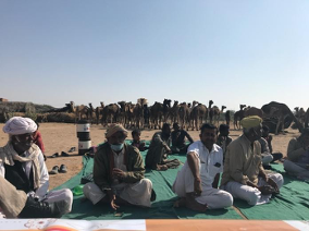 members of the Raika community sitting in the desert with their camels in the background