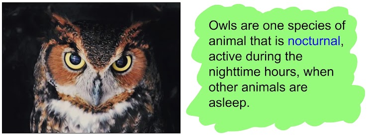 https://www.healthing.ca/wellness/sleep/how-a-genetic-mutation-keeps-night-owls-up