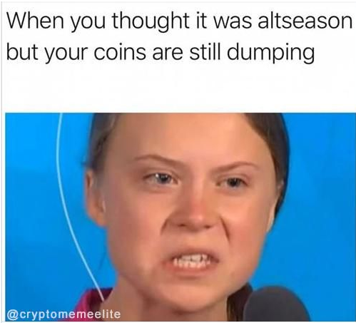 https://s32659.pcdn.co/wp-content/uploads/2019/12/meme_altcoins_greta.png