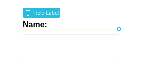 Field label element of an Input field