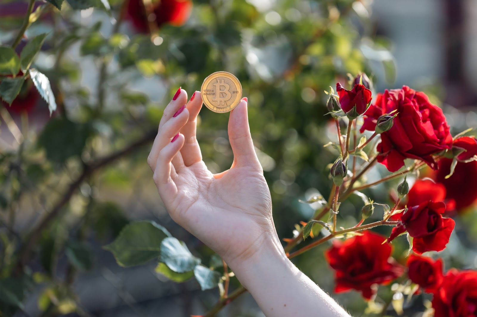 a hand of a woman holding a Bitcoin coin in a garden background