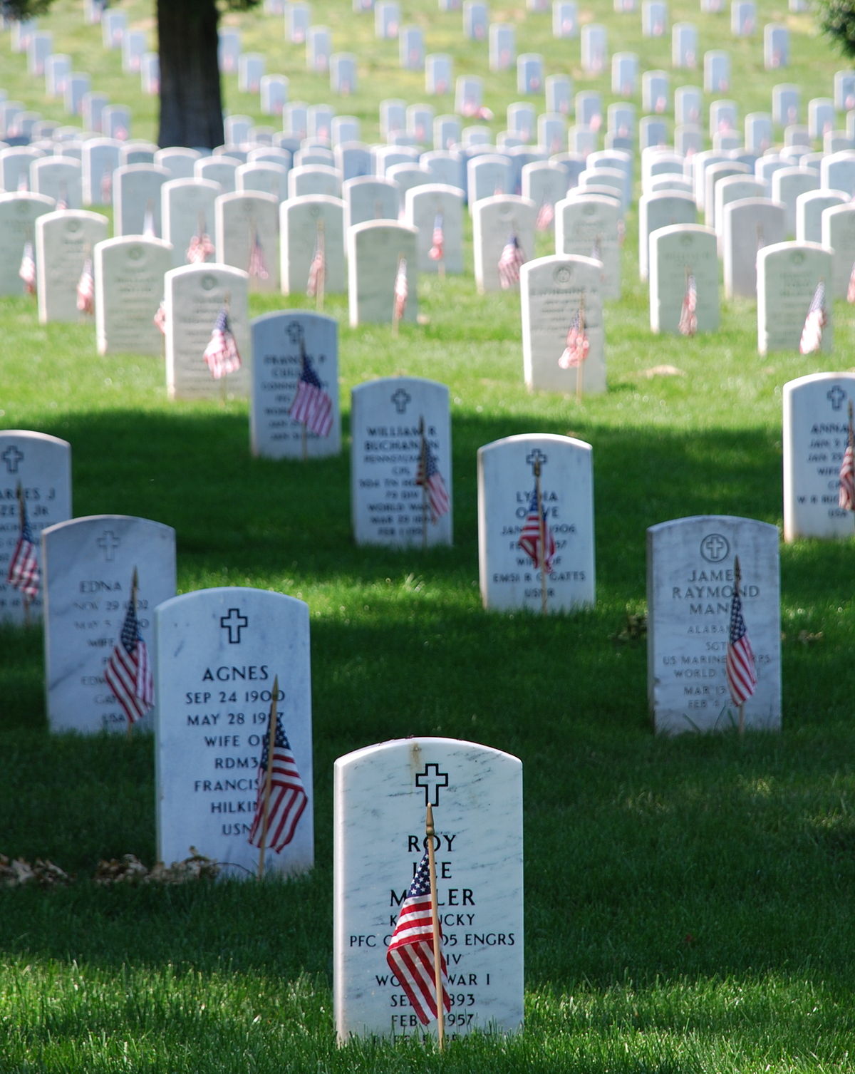 Image result for memorial day