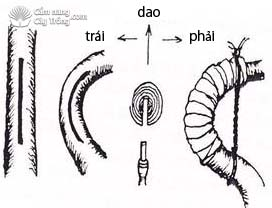 Uốn cây bằng phương pháp xẻ rãnh 