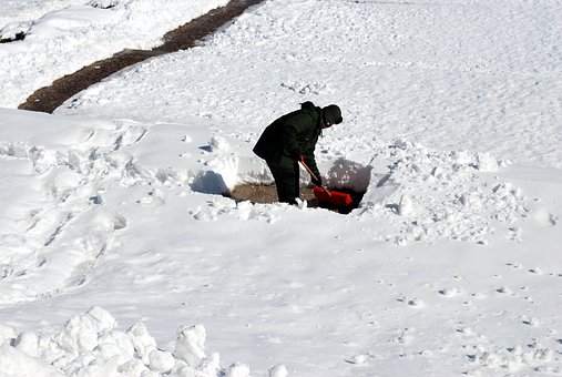 Shoveling, Man, Snow, Work, Male, Tool