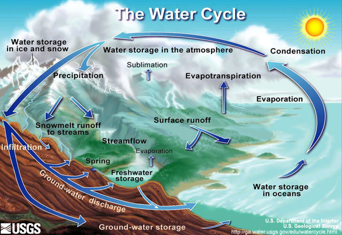 The water cycle diagram