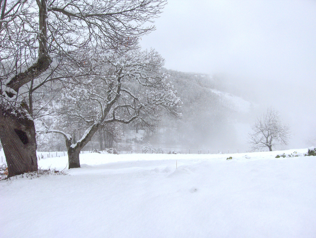 File:Cold day in Lagarelhos,