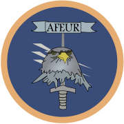 AFEUR patch. It consists of an eagle and a sword with a blue background.