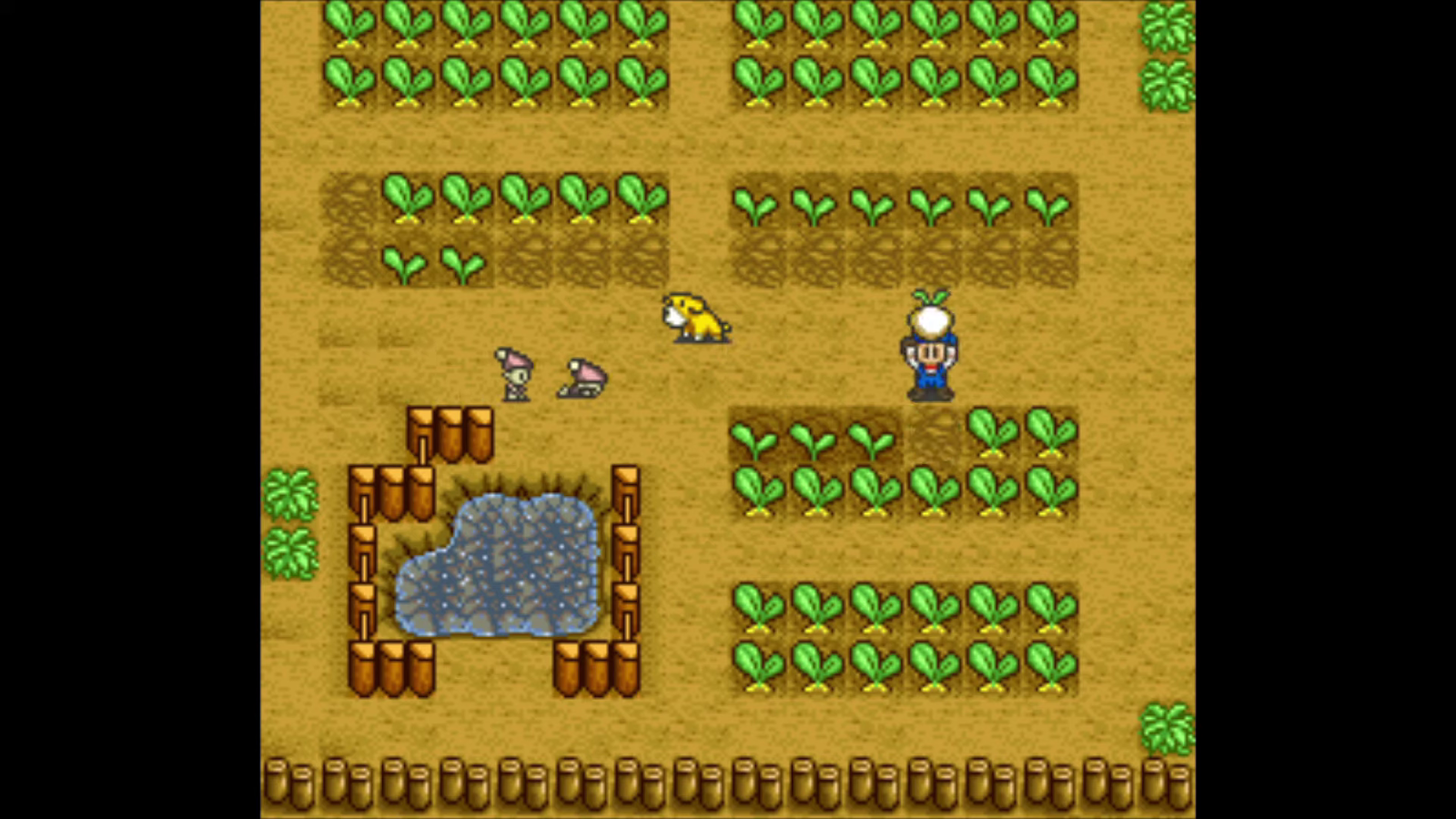 Toiling for Turnips. | Harvest Moon SNES