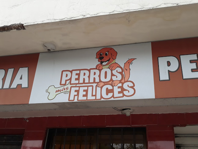 Perros Más Felices - Guayaquil
