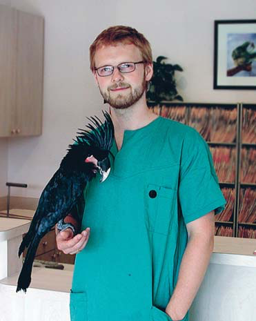 The black palm cockatoo is a rare, expensive and endangered species that is uncommon in captivity and seldom seen in clinical practice