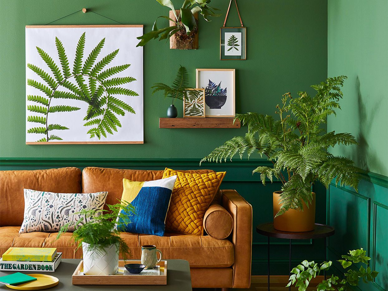 indoor plants decor - A green wall