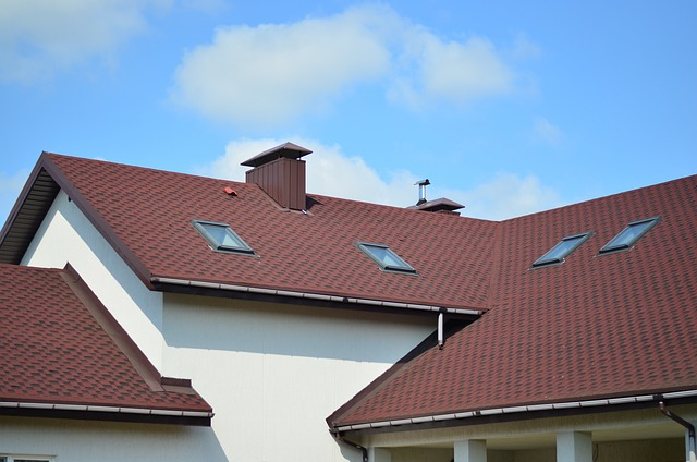 Roof Maintenance 101: A Guide to Keeping Your Roof in Top Shape