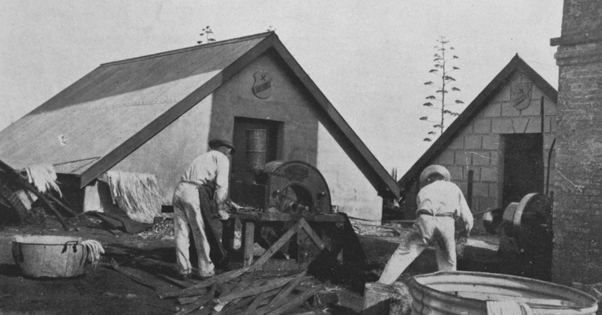 Prisoners making boots on St Helena Island 