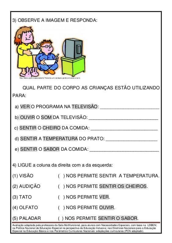 Avaliação adaptada de ciências