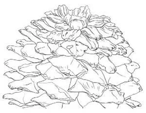 D:\0 wd yedek\acr yedek\1 film indirme\botanicheskaya_illyustraciya2_files\image063.jpg