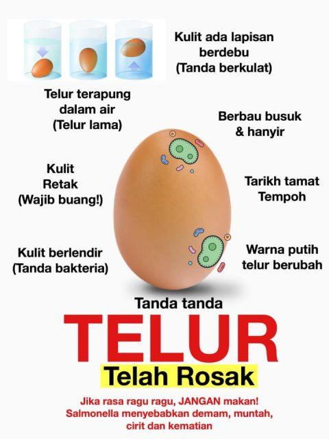 cara untuk tahu telur rosak