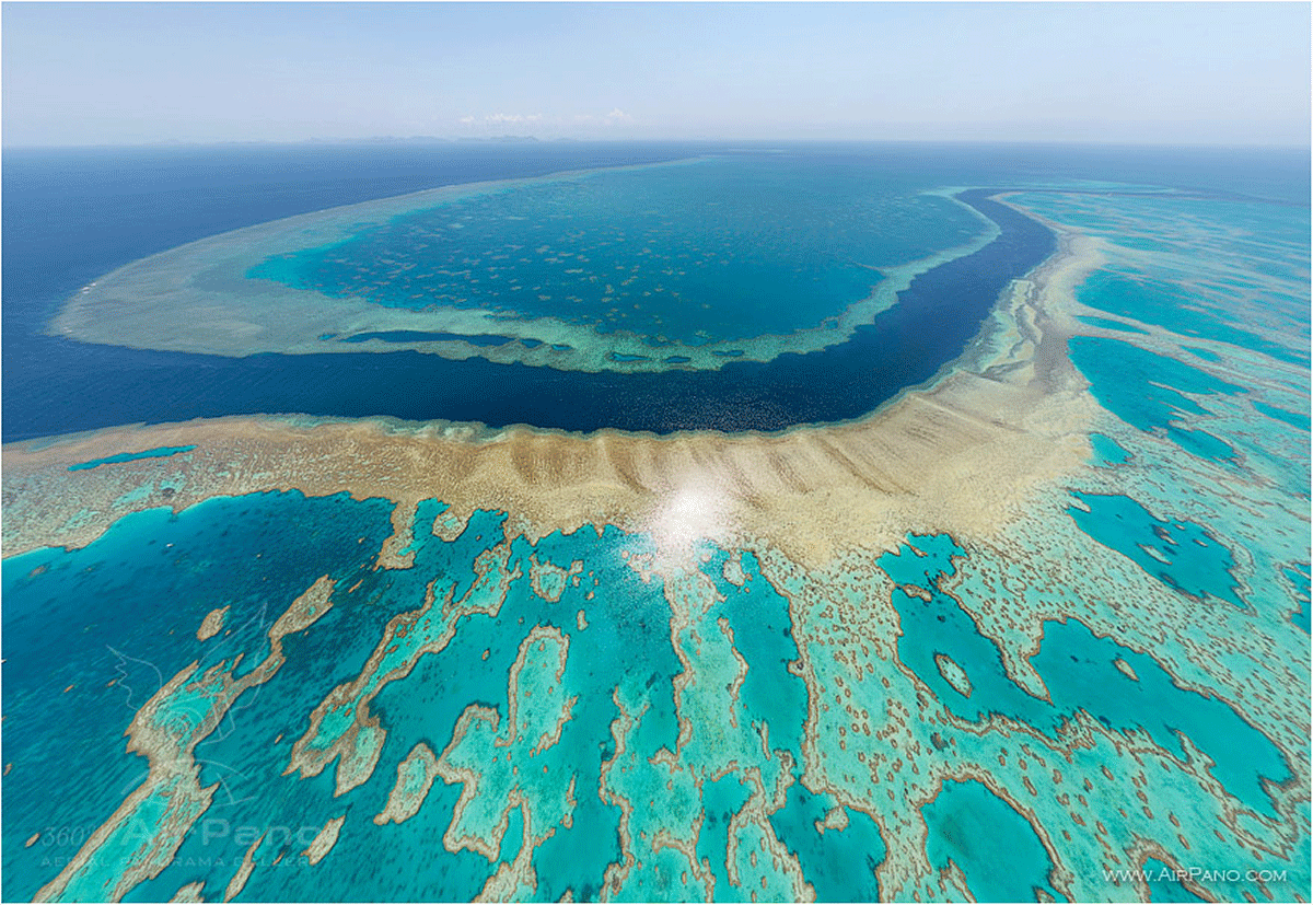 C:\Users\rwil313\Desktop\Great Barrier Reef.gif