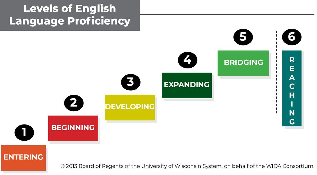 Graphic of Levels of English Proficiency 