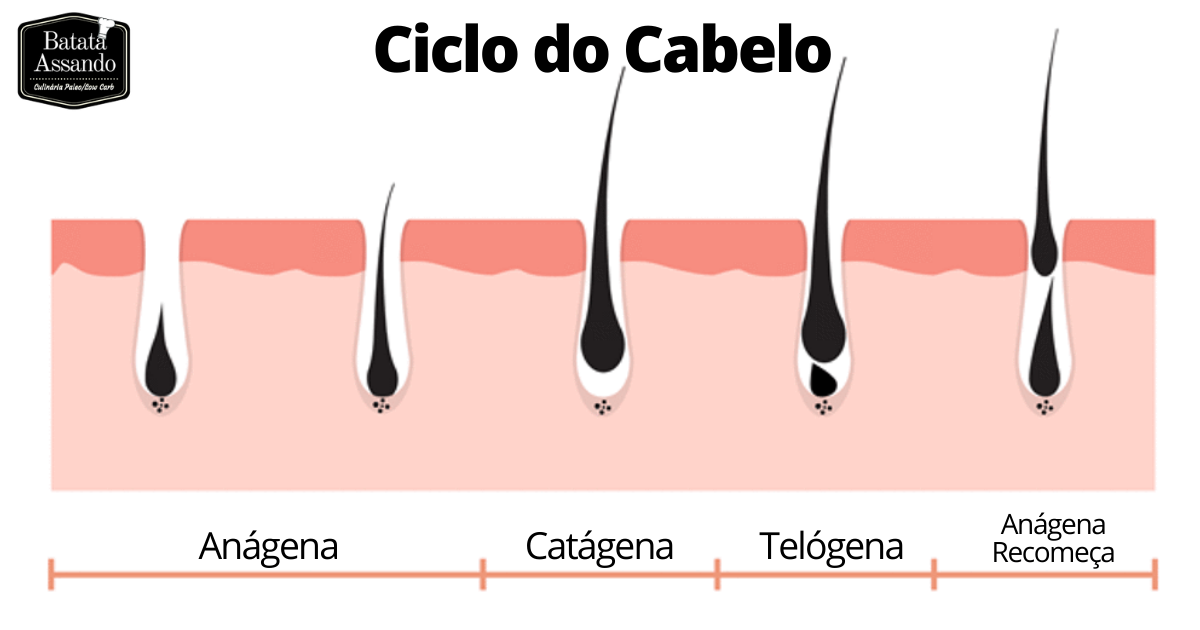 Queda de cabelo na Dieta Low Carb: Como Evitar e Reverter