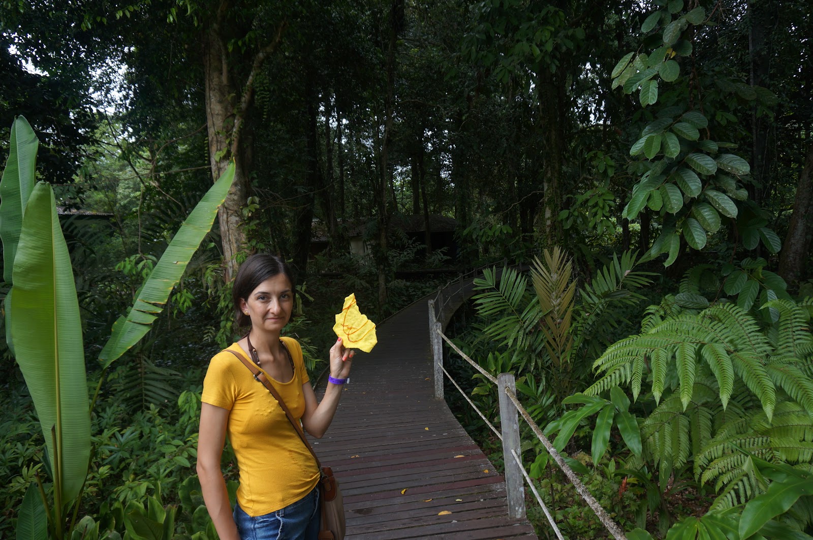 DSC08608.JPG