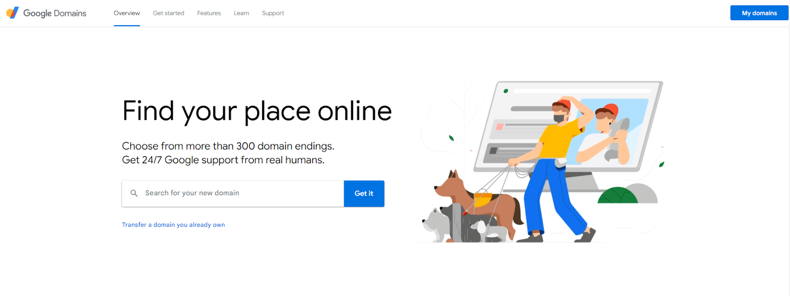 Google Domains - DSers