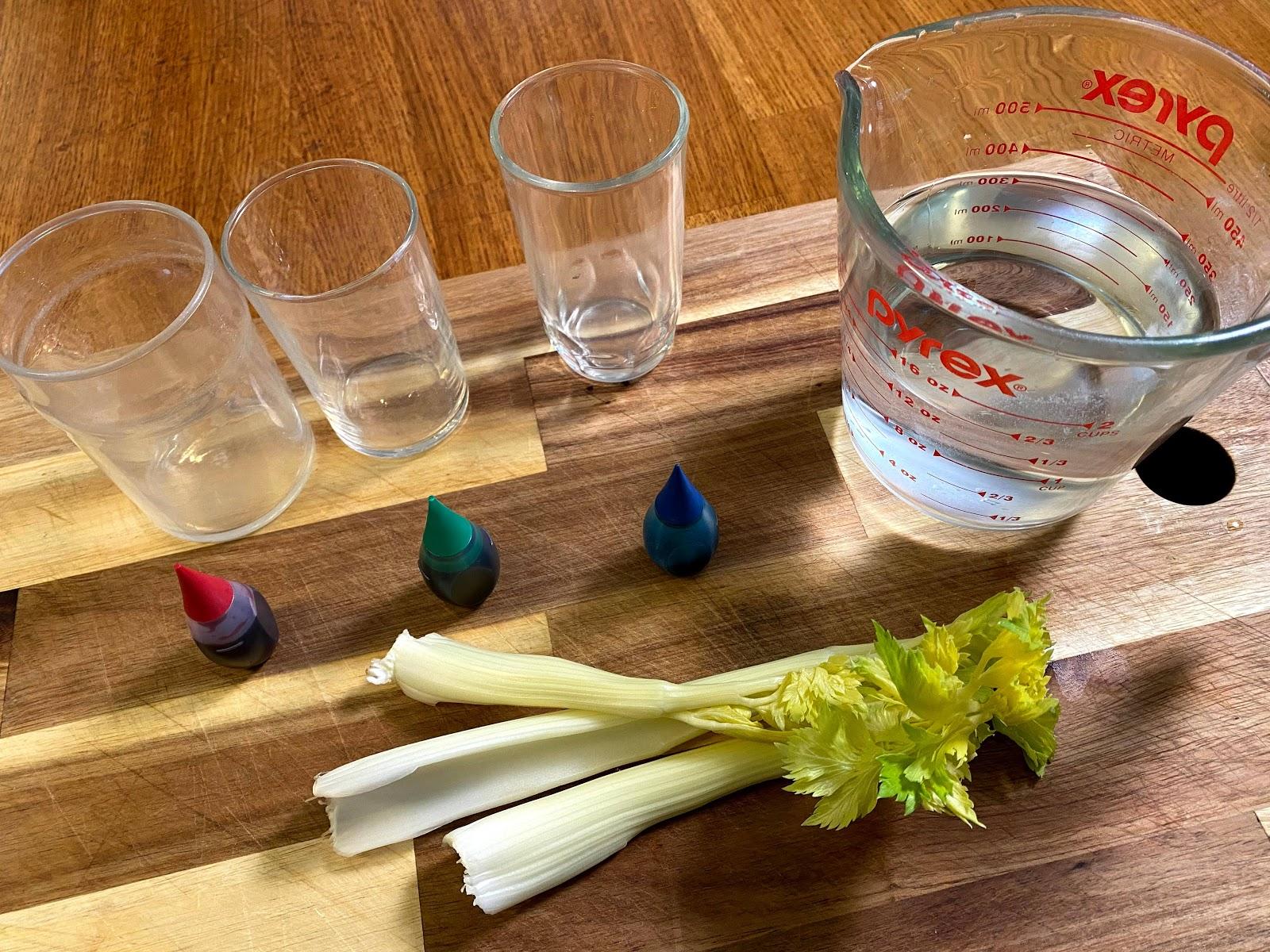 On a cutting board are arranged 3 glasses, a measuring cup of water, 3 stalks of celery, and red, green, and blue food coloring. 