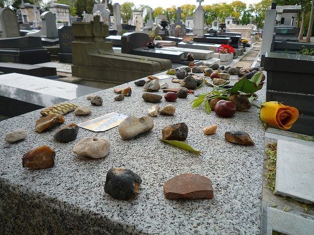 stones for Gertrude.jpg