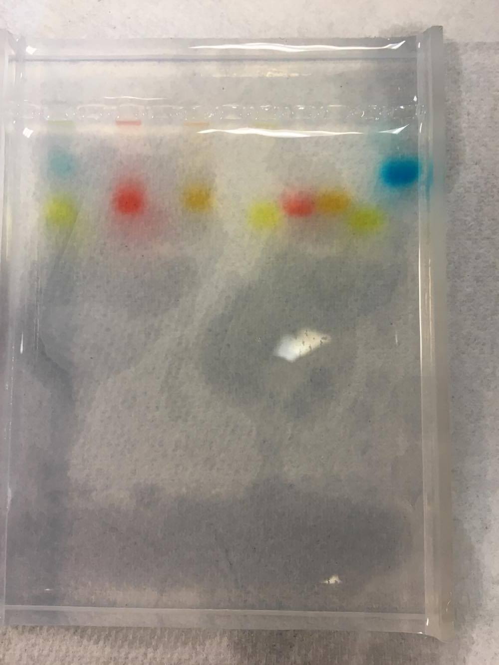 Just_Dyes_after_experiment_bio.jpg