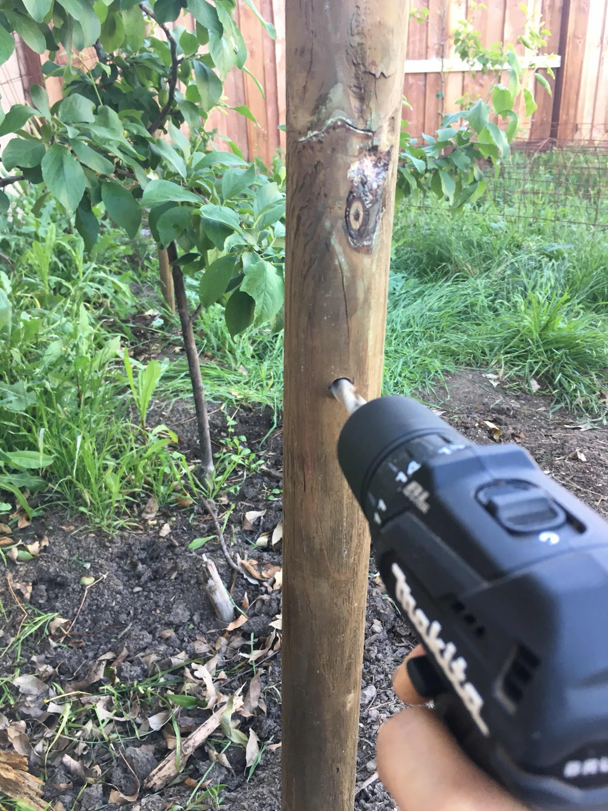 Drilling in espalier post