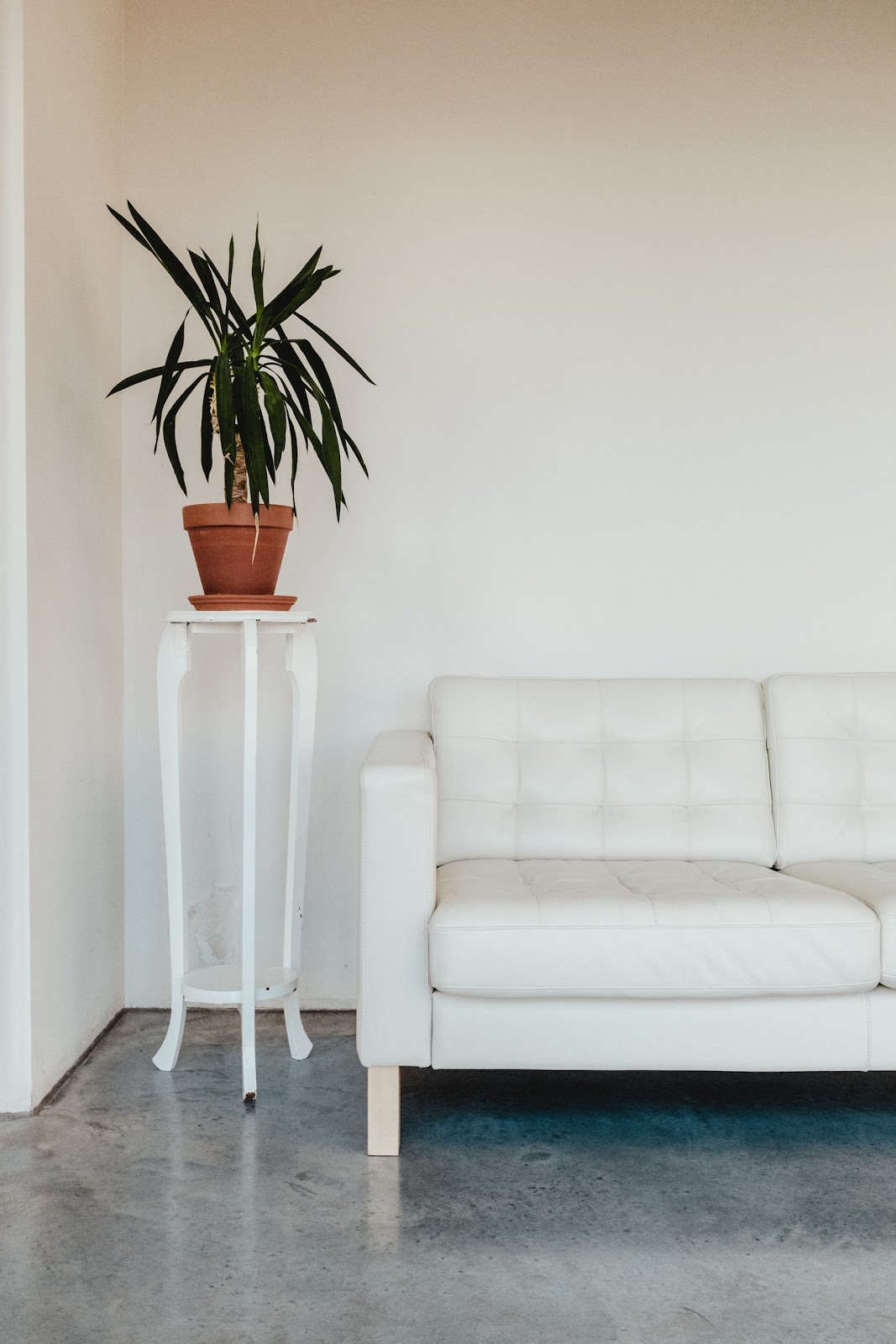  warm ivory paint color