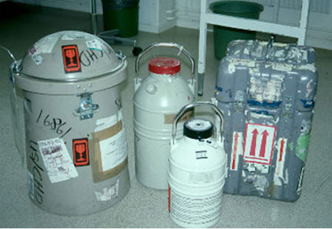 Los recipiente ordinarios dry-shipper pesan alrededor de 15 kg cuando están llenos y tienen un tiempo de retención de 2 a 3 semanas