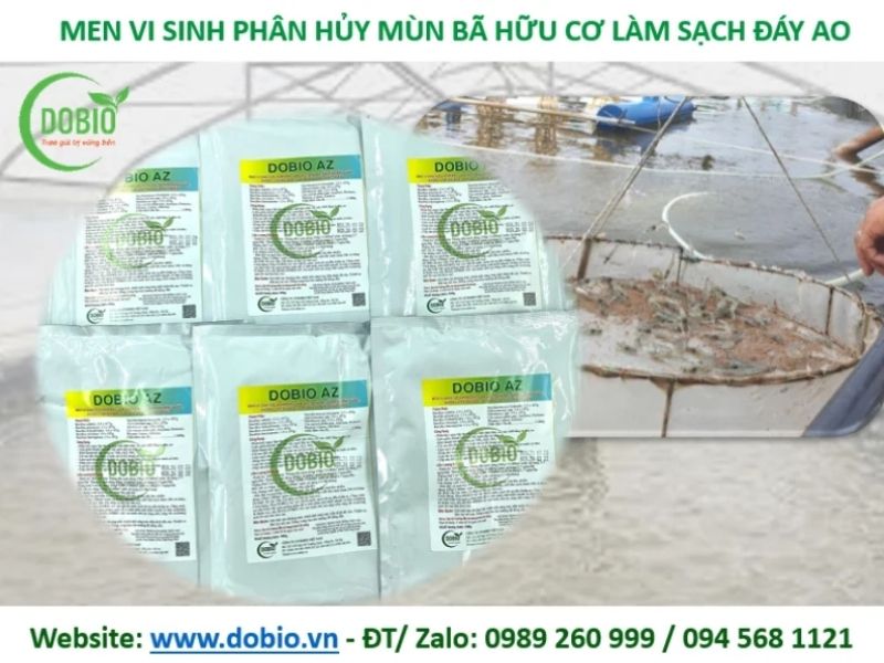 Chế phẩm sinh học Dobio Az