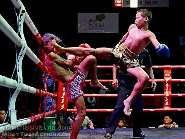 Maintain Your Health With Muay Thai Training For Your Fitness in Thailand