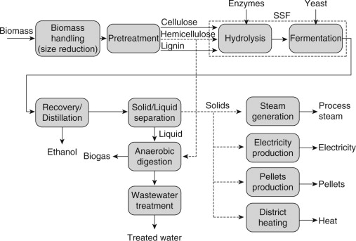 Full article: Recent advances in bioethanol production from Lignocellulosic  biomass