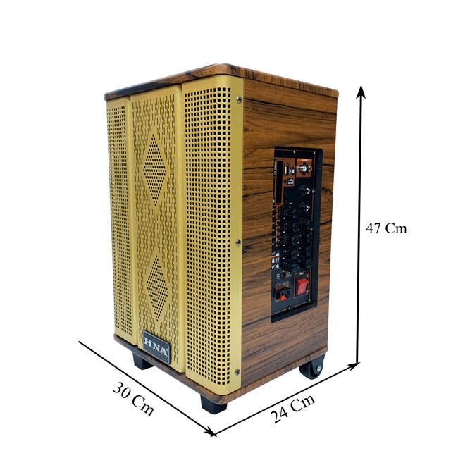 Loa Kẹo Kéo 2 Tấc Mới Nhất 2020 HNA 808