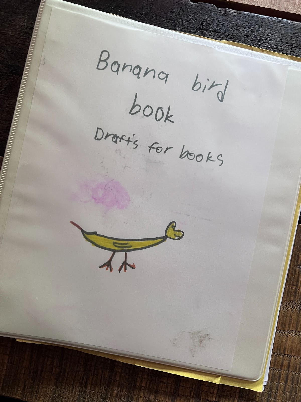 Binder of banana bird ideas