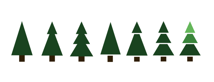 Weihnachtsbaum im Topf 🌲 Hilfreiche Infos und Ablauf 2