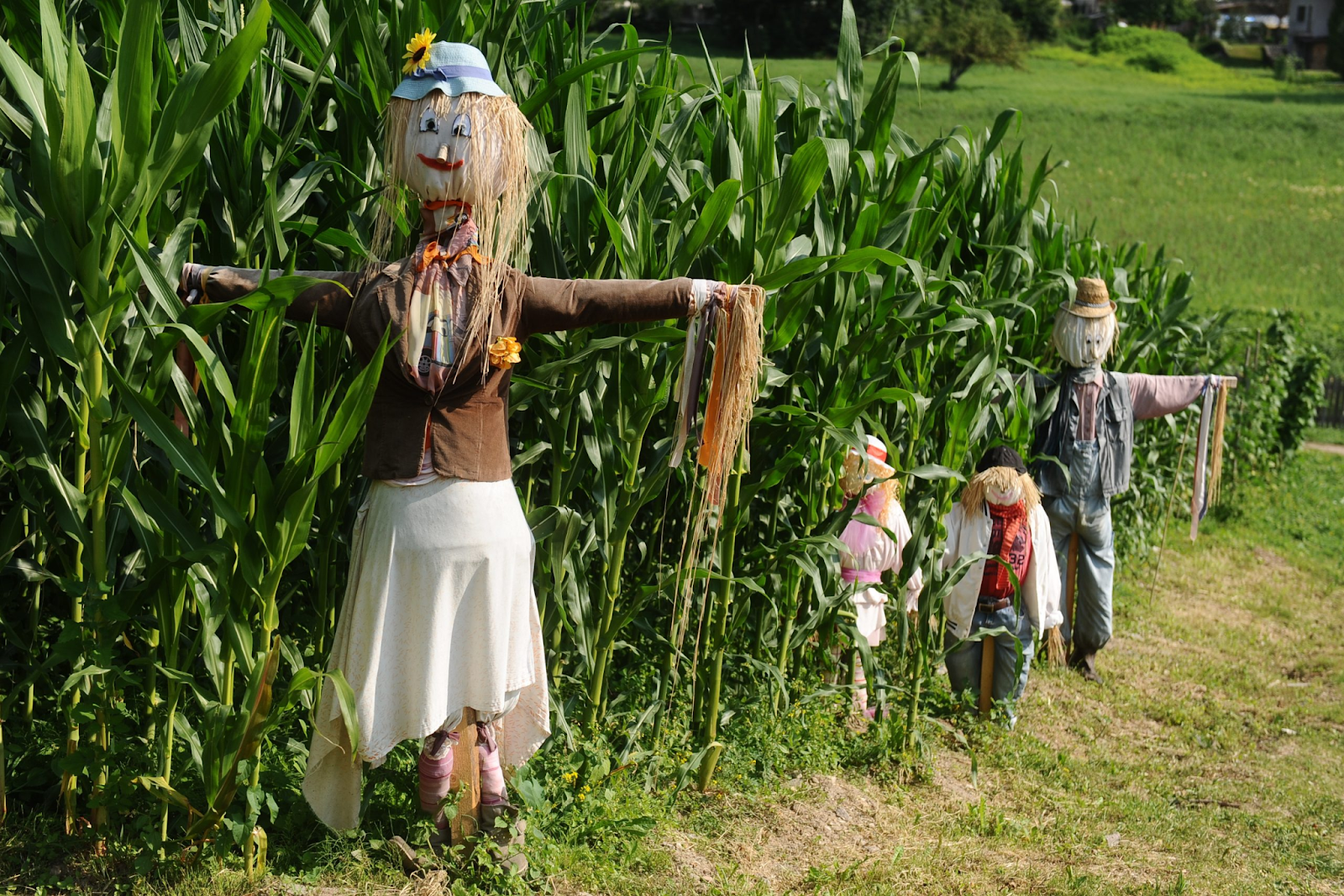 Moveable Scarecrow