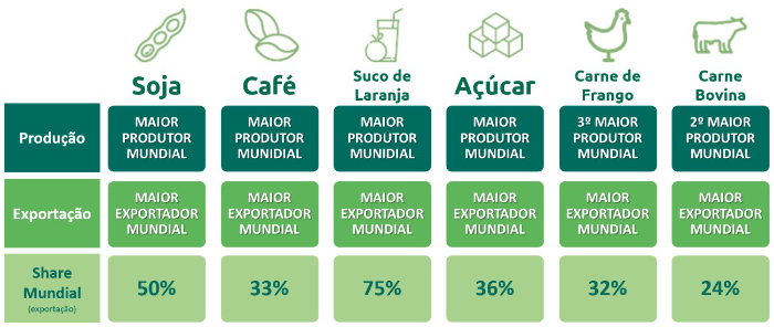 aplicação de defensivos - a produção e exportações brasileiras no ranking mundial em 2020