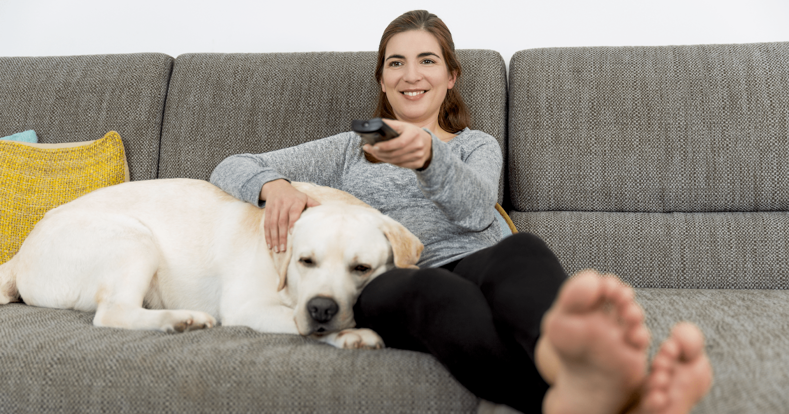 Golden lab sitting on couch with woman using remote