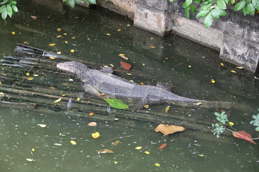Испытание отпуском. Ноябрь 2014