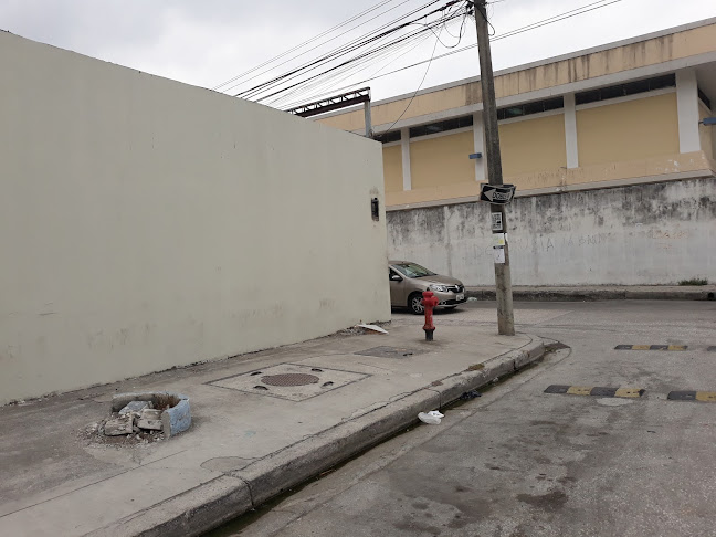 Opiniones de TransOchoa en Guayaquil - Servicio de transporte