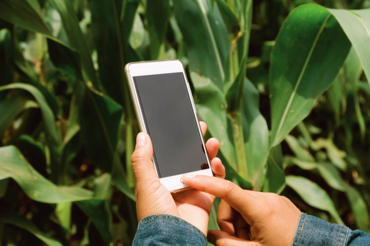 FieldView - Aplicación de la ciencia de datos en la agricultura a través de herramientas digitales