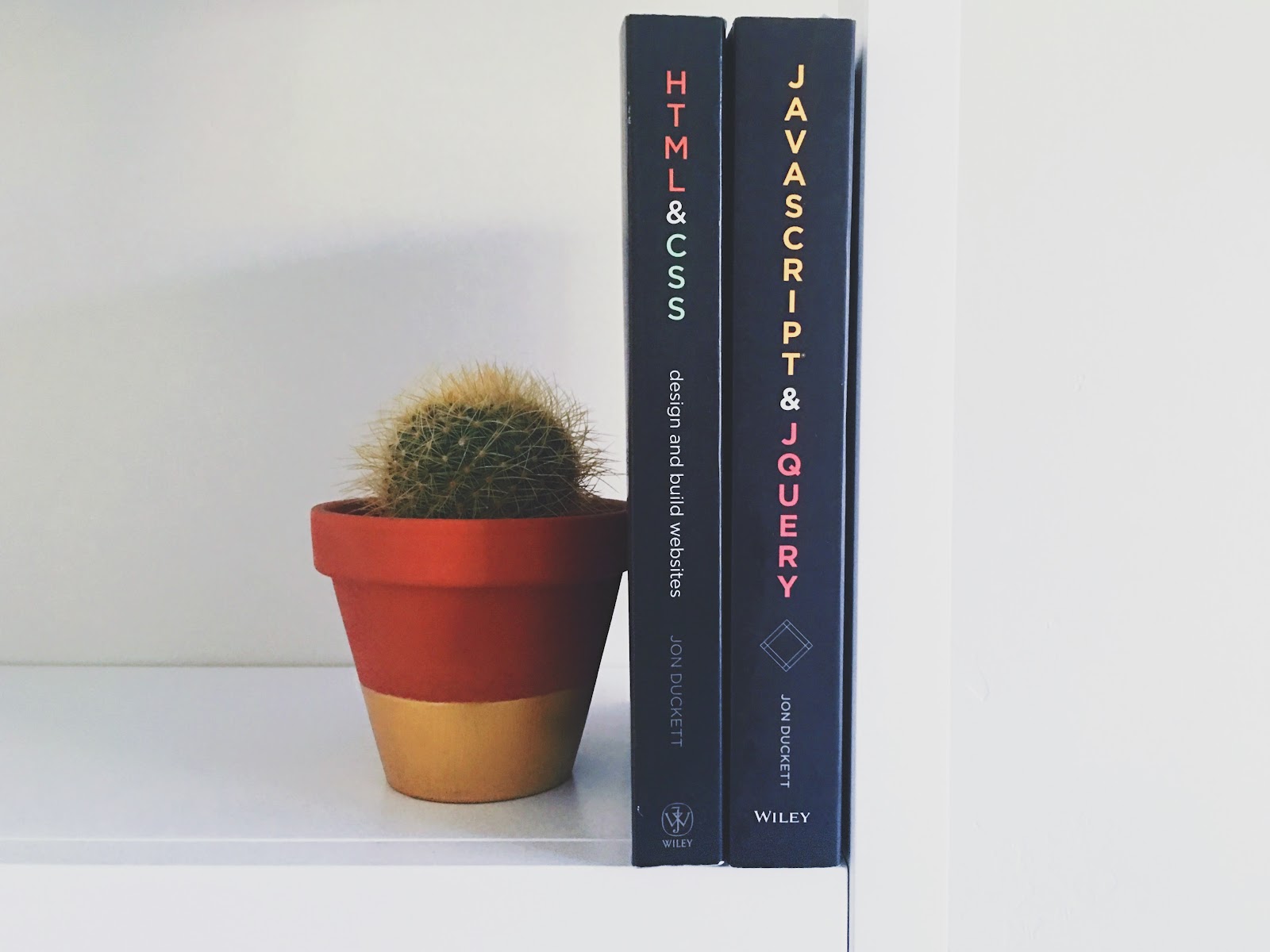 Web coding books next to a cactus