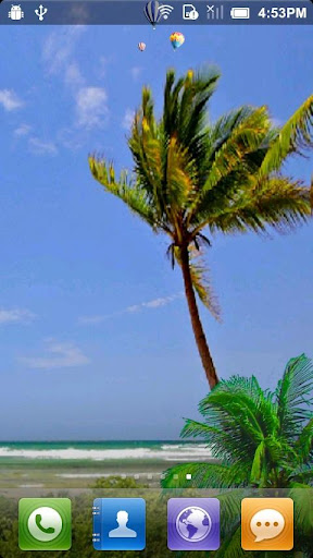 Download Beach Palms Trees apk
