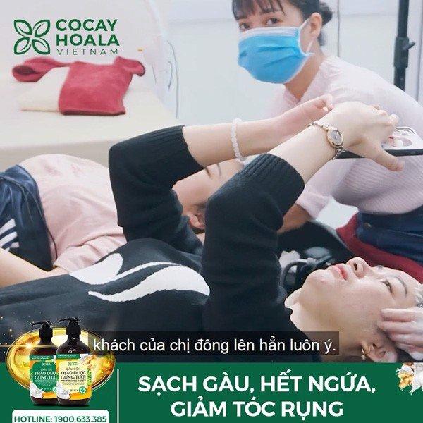 Dầu gội thảo dược gừng dừa cỏ cây hoa lá làm sạch gàu hiệu quả chỉ sau 7 ngày sử dụng