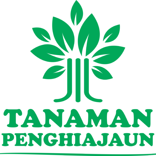 Tanaman Penghijauan