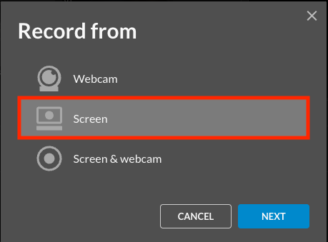 "Screen" recording toggle highlighted.