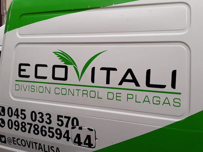 Opiniones de Ecovitali Ecuador en Guayaquil - Empresa de fumigación y control de plagas