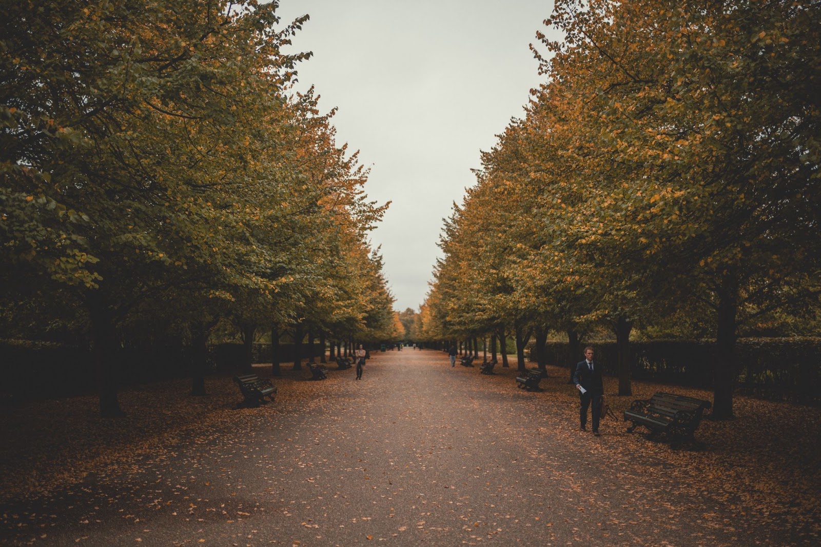 Green Spaces în Londra: Parcul Regent și Grădinile Kew